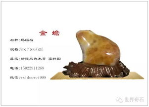 精品区藏品展播之三 珍贵收藏品赏析